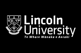 6153b2ea93d9a276351f64be_lincoln